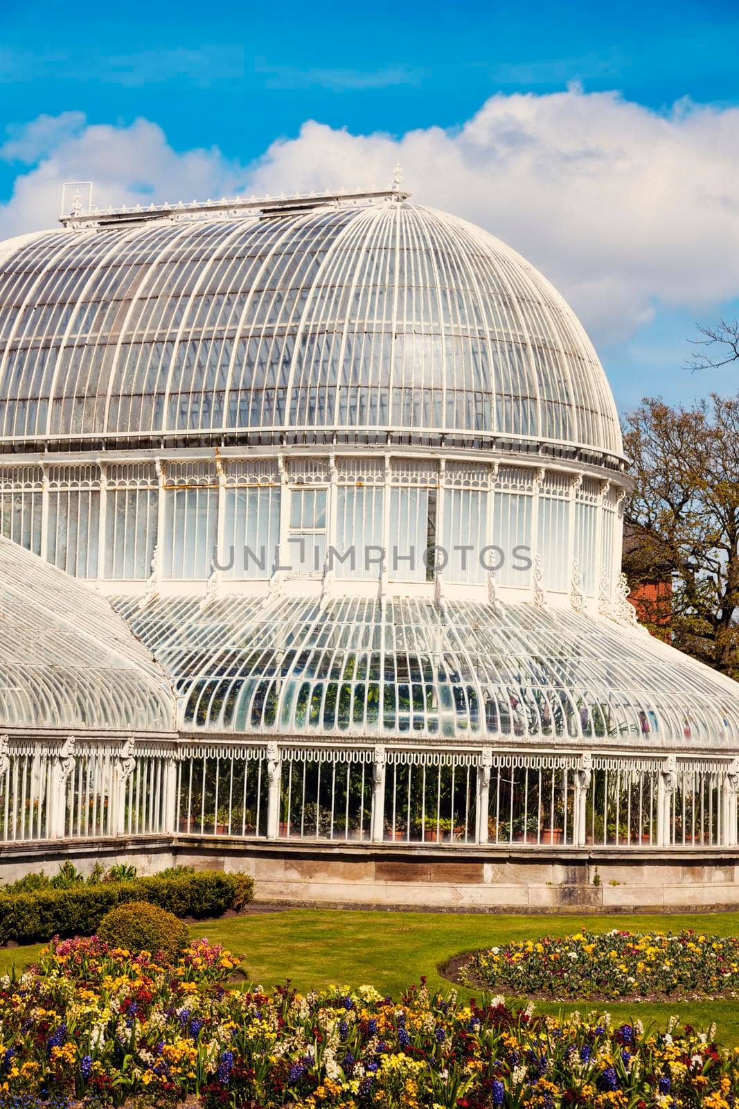 Palm House in Belfast by benkrut