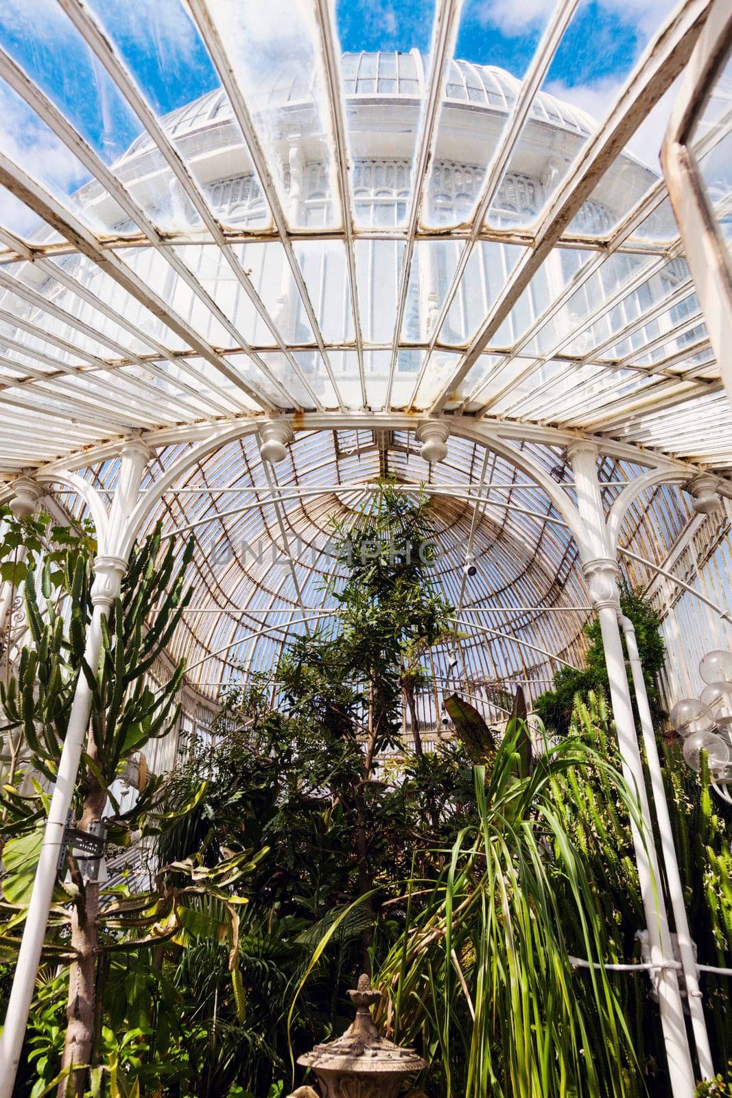 Historic Palm House in Belfast. Belfast, Northern Ireland, United Kingdom.