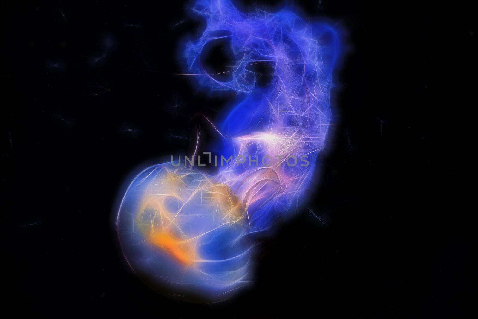 Background exotic blue jellyfish with a tail on a black background.