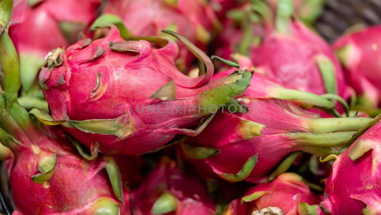 Pitaya.Dragon fruit. Big Bunch of Pink Pitaya Dragon Fruits