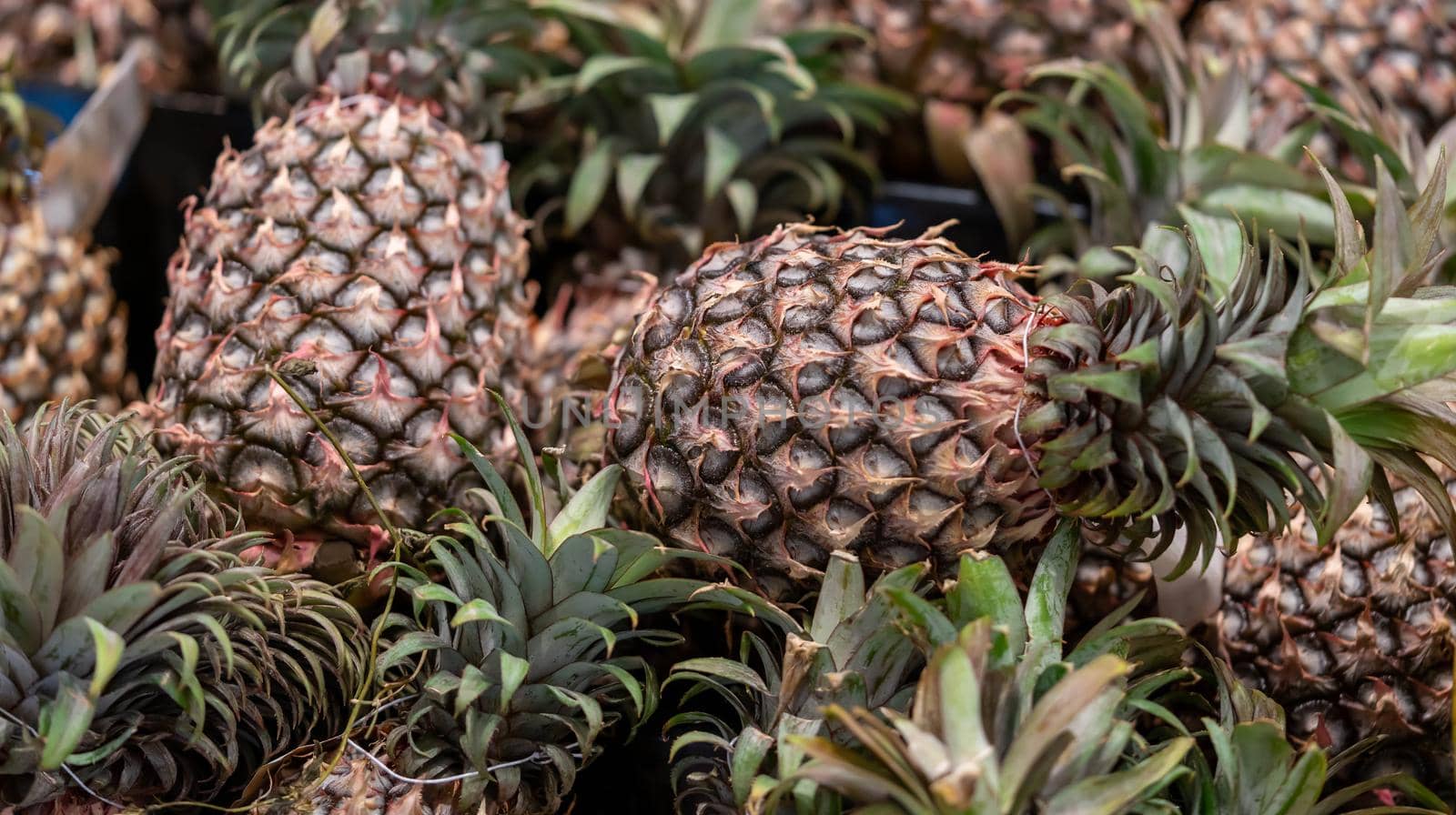 pineapple background, a bunch of pineapples