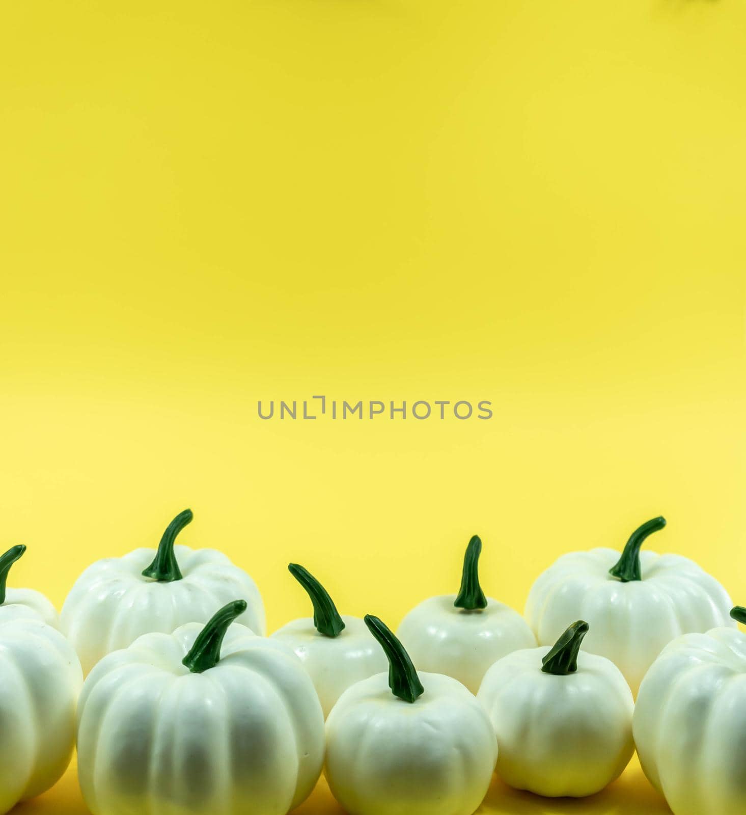 Autumn bottom border banner of white pumpkins, gourds and fall decor on yellow background with copy space