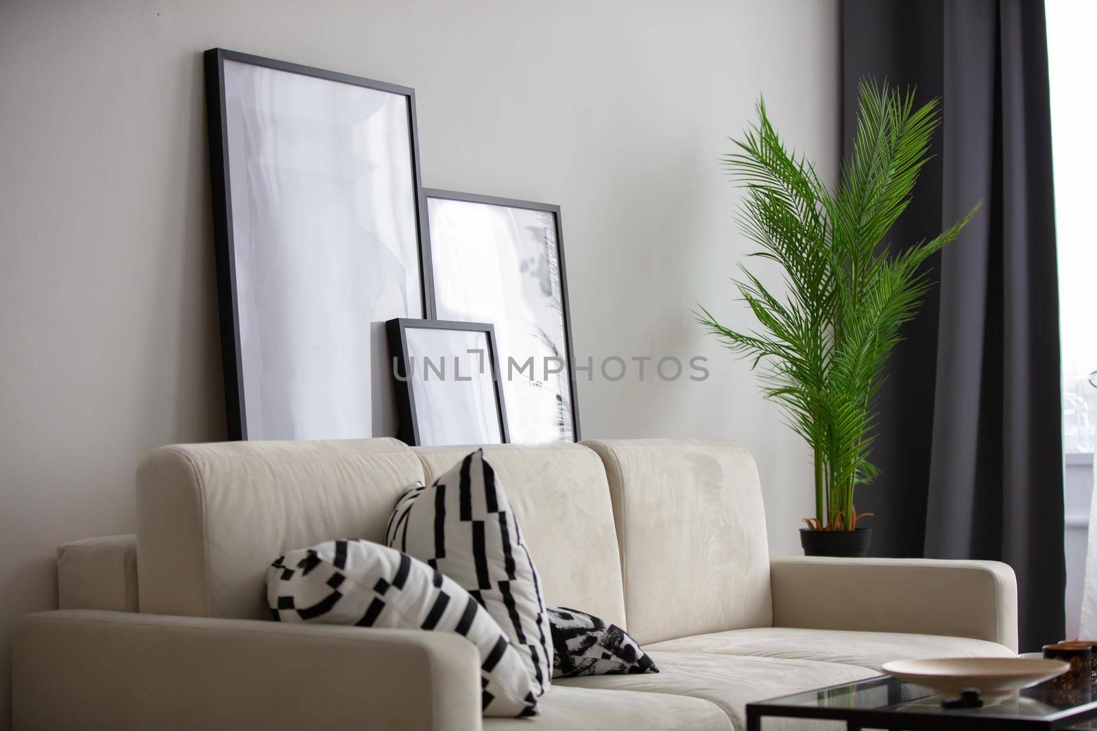 Living room. Wall with a sofa. Part of the interior of the room.