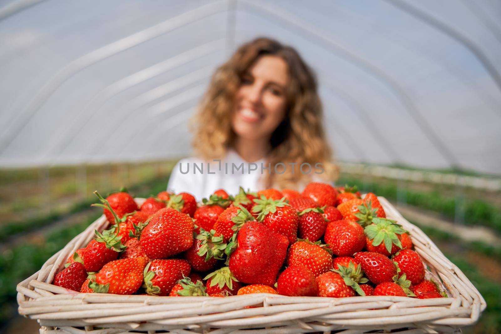 Curly brunette is holding strawberries in greenhouse. by SerhiiBobyk