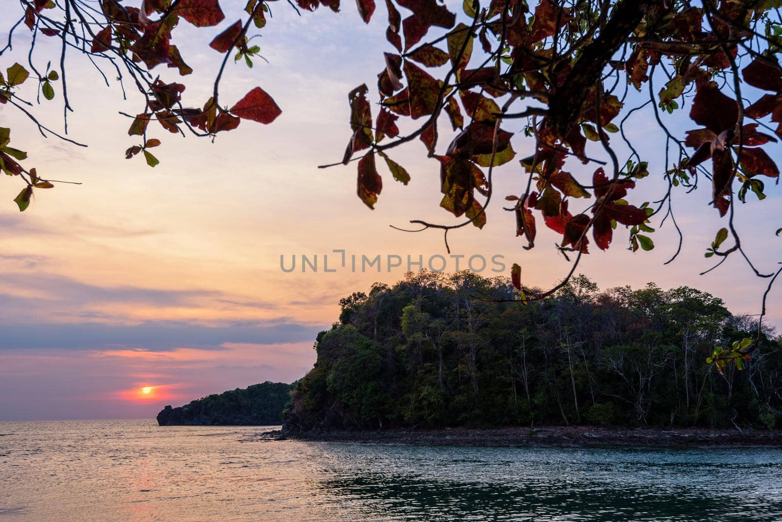 Beautiful nature landscape of colorful the sun on the sky at Tarutao island beach during the sunset over the Andaman Sea under the tree shadow, Tarutao National Park, Satun, Thailand