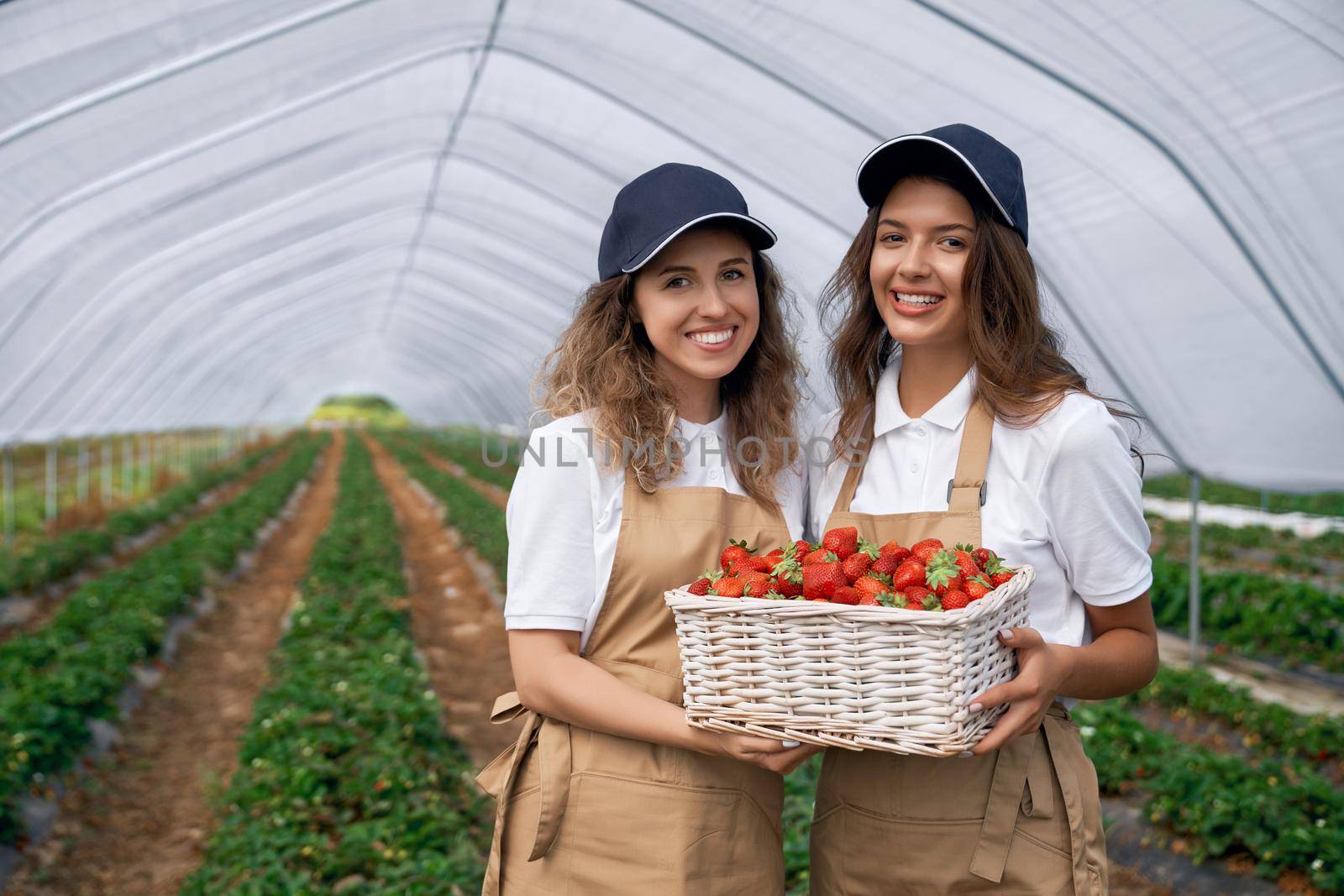 Front view of two beautiful women wearing white caps and aprons are holding basket of strawberries. Cute field workers are posing in greenhouse and smiling . Concept of gardening.