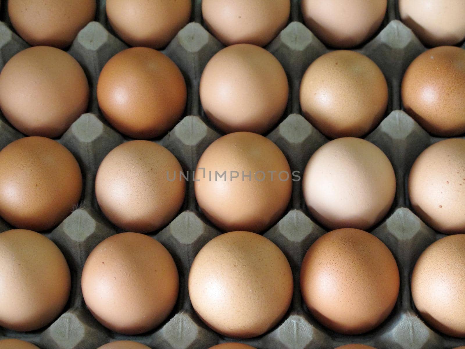 Close up of eggs in cardboard container by aroas
