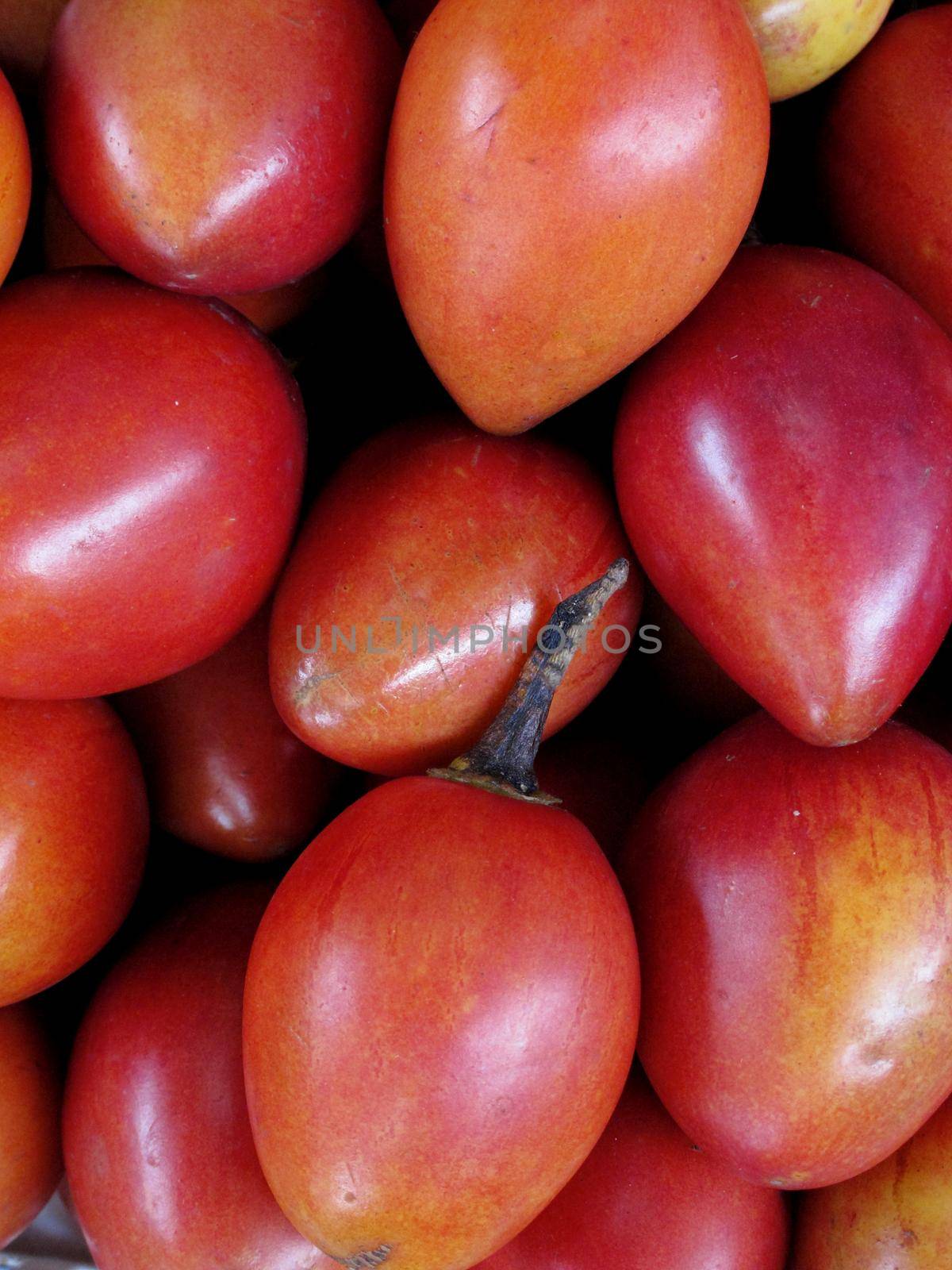 Fresh red fruit by aroas