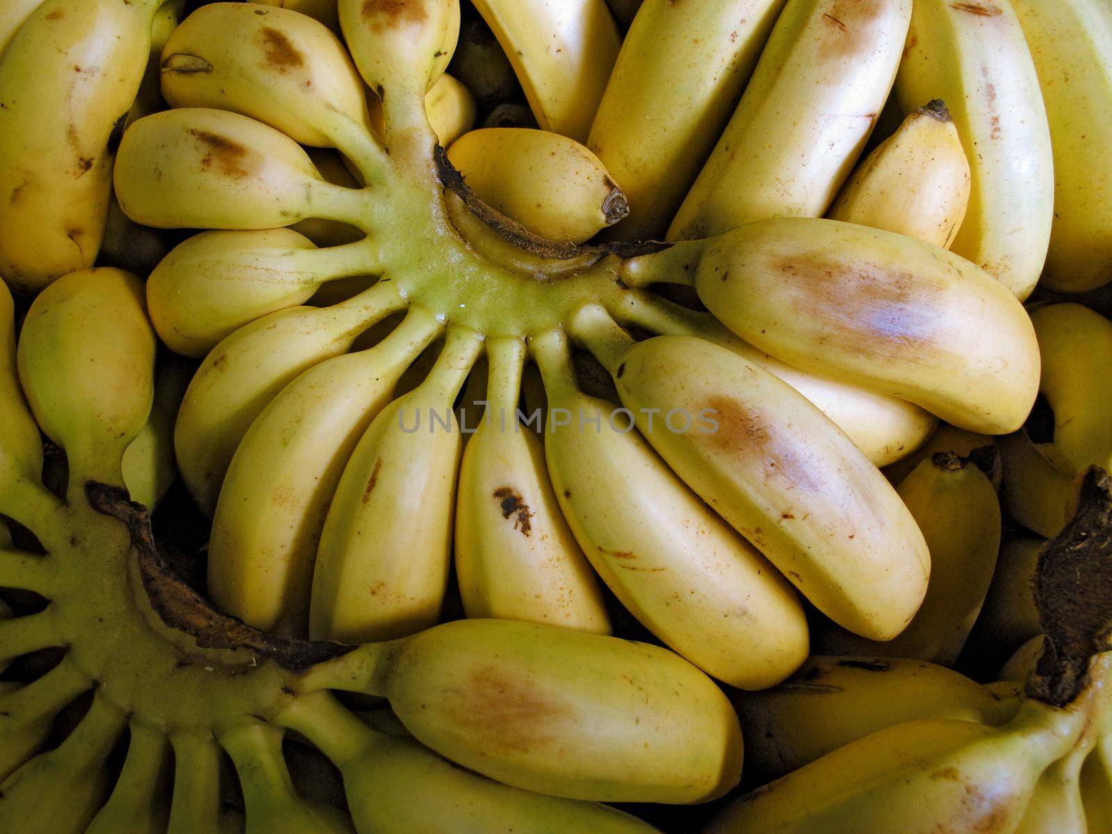 Bunch Of Ripe Bananas by aroas