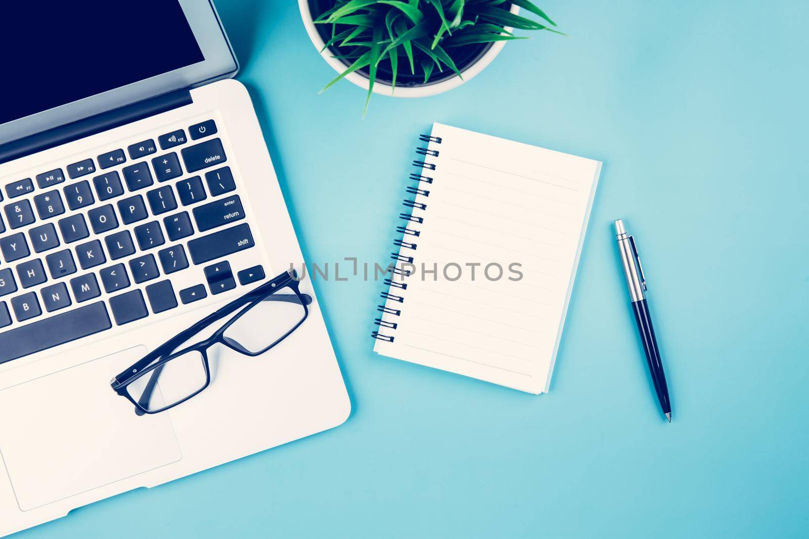 Flat lay of Laptop computer and plant and pen on desk in office, workplace and notebook and glasses and potted tree and book, workspace and copy space, top view, object with above, business concept.