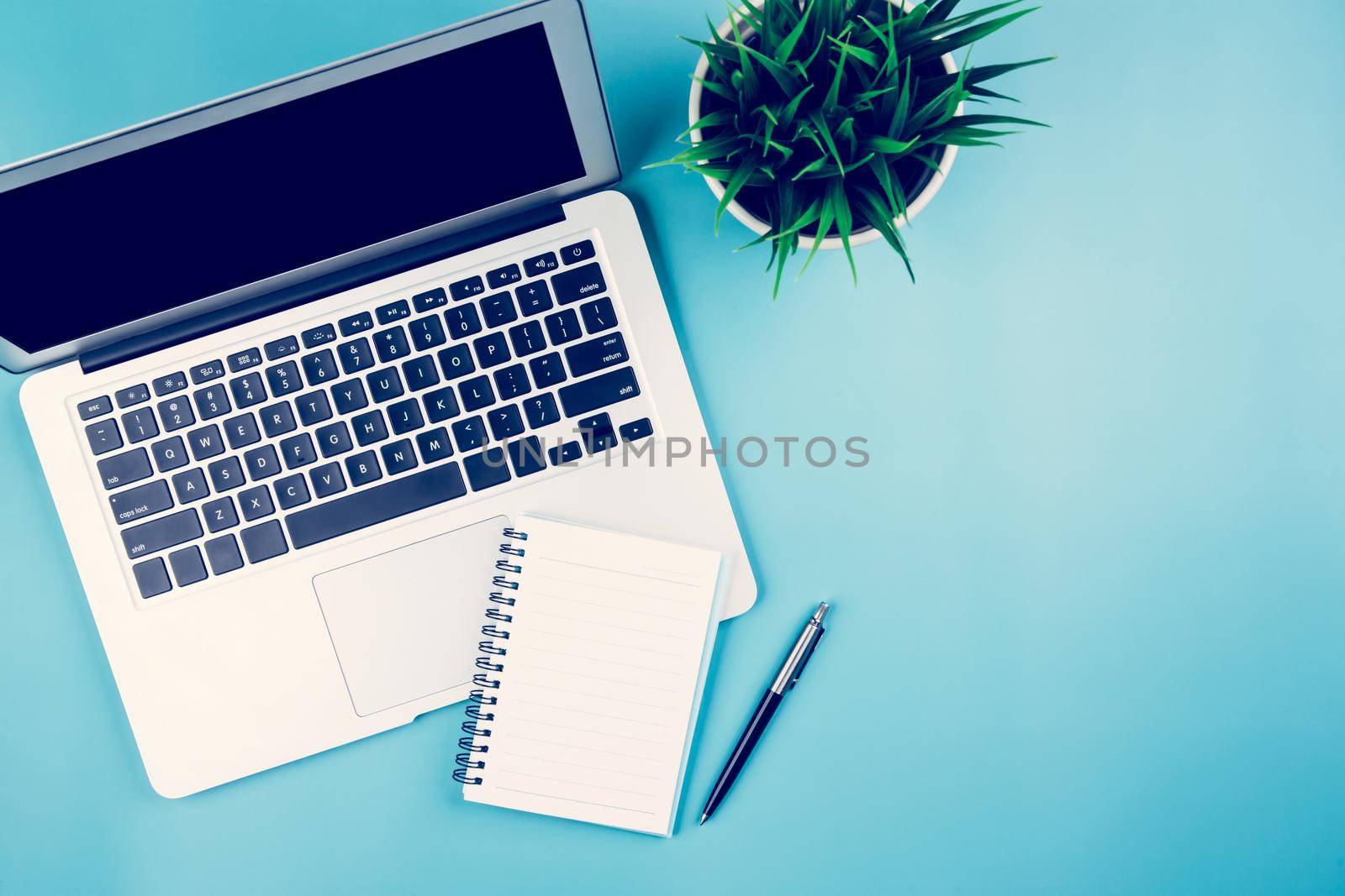 Flat lay of Laptop computer and plant and pen on desk in office, workplace and notebook and potted tree and book, workspace and copy space, top view, object with above, business concept.