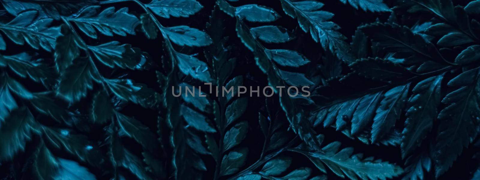 Blue plant leaves at night as surreal botanical background, minimal design backdrop