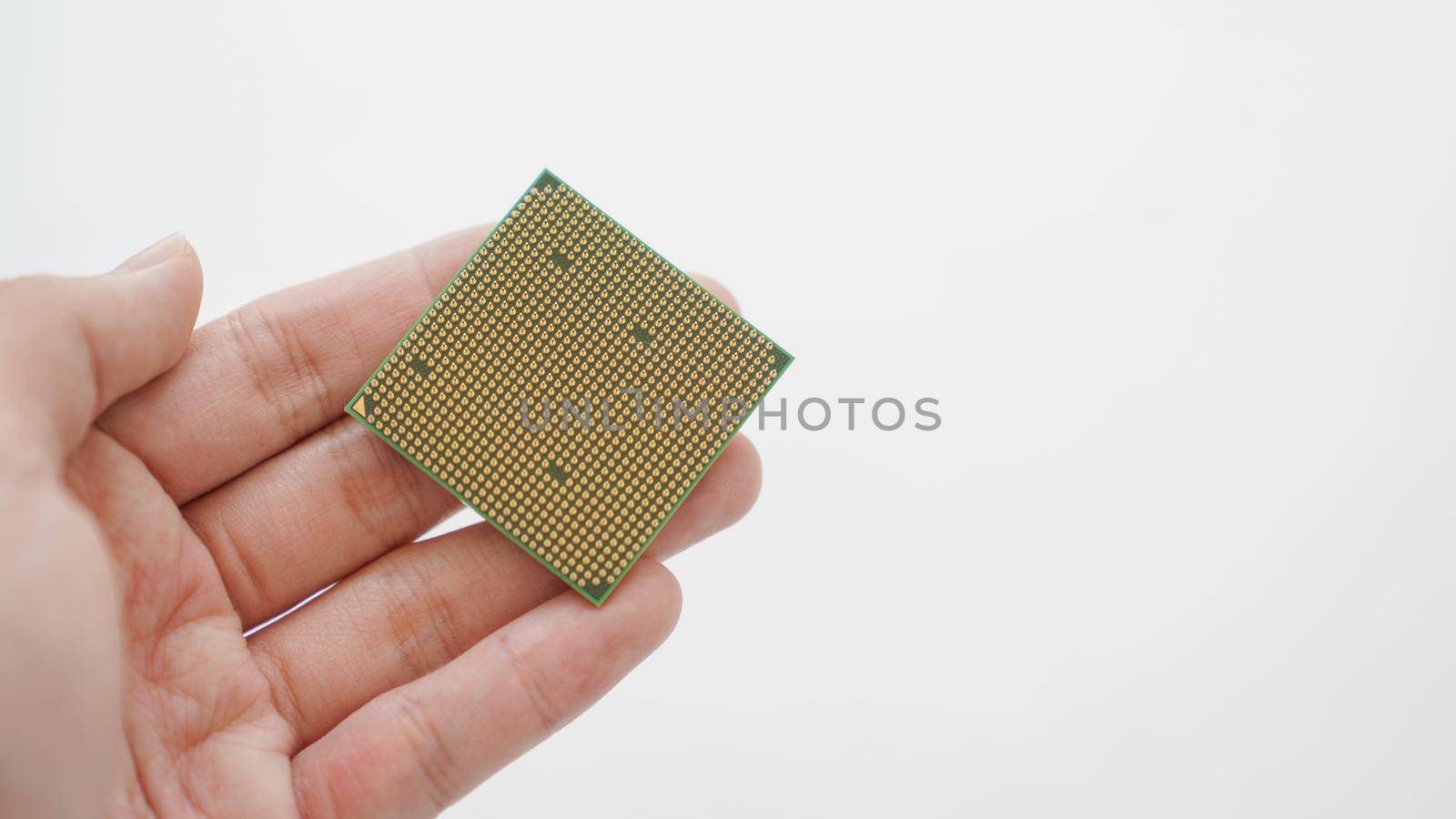 Hand holding gold computer processor on white background. by sirawit99