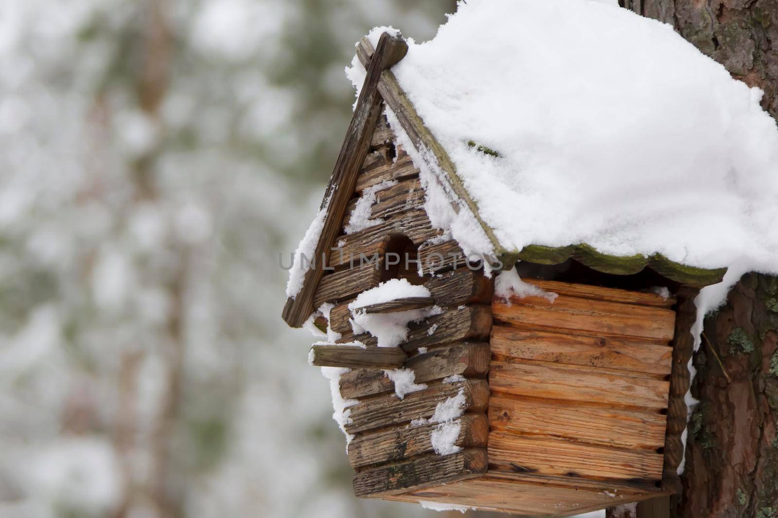 Wooden birdhouse. House for birds in the winter forest