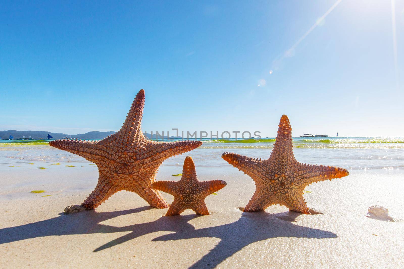 Three Starfish on a sandy beach by the ocean summer vacation concept