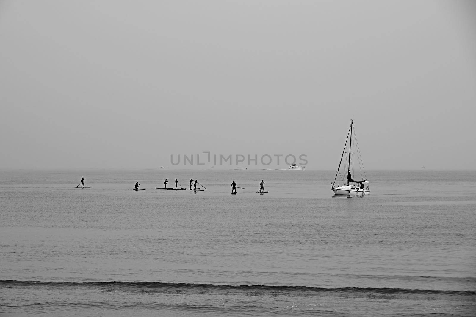 Group of people paddle surfing next to a sailboat, black and white, silhouettes, beach, yacht