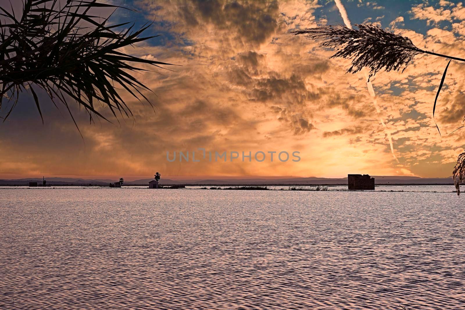 Sunset over the lake with small houses, orange, water, bright, palm trees, houses