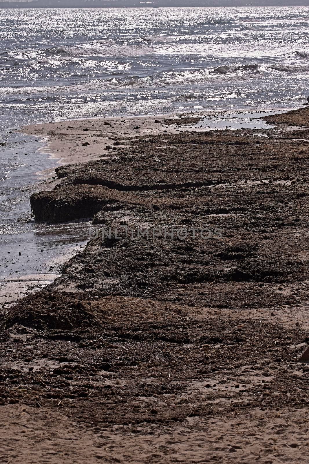 Beach shore with sand and rocks, vertical lines, sunny day, small waves, calm water, calm waters.