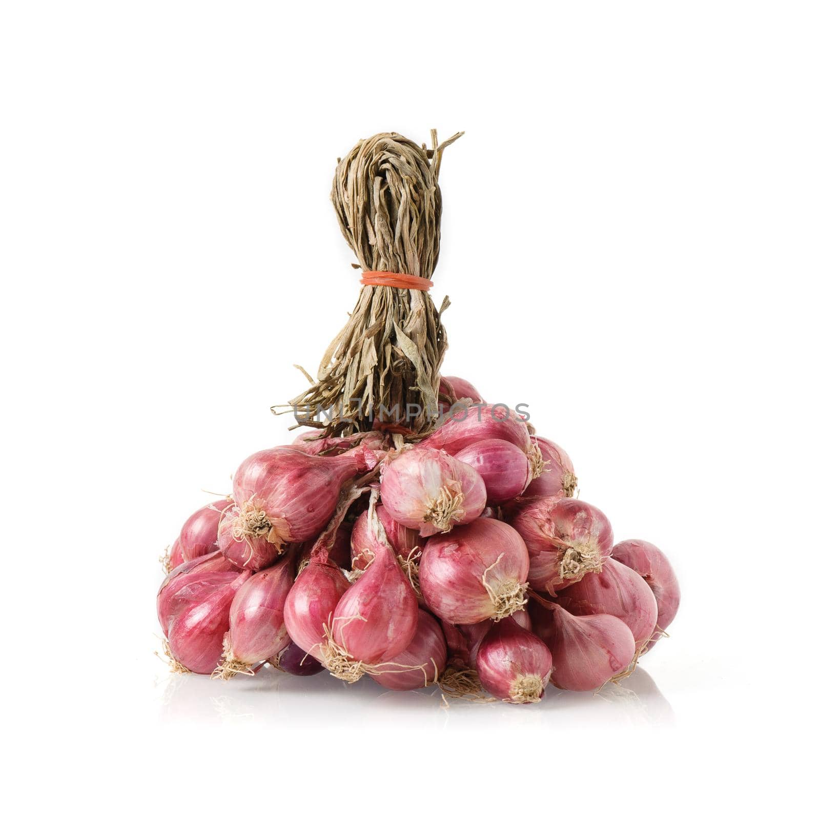 shallots, food ingredient by norgal