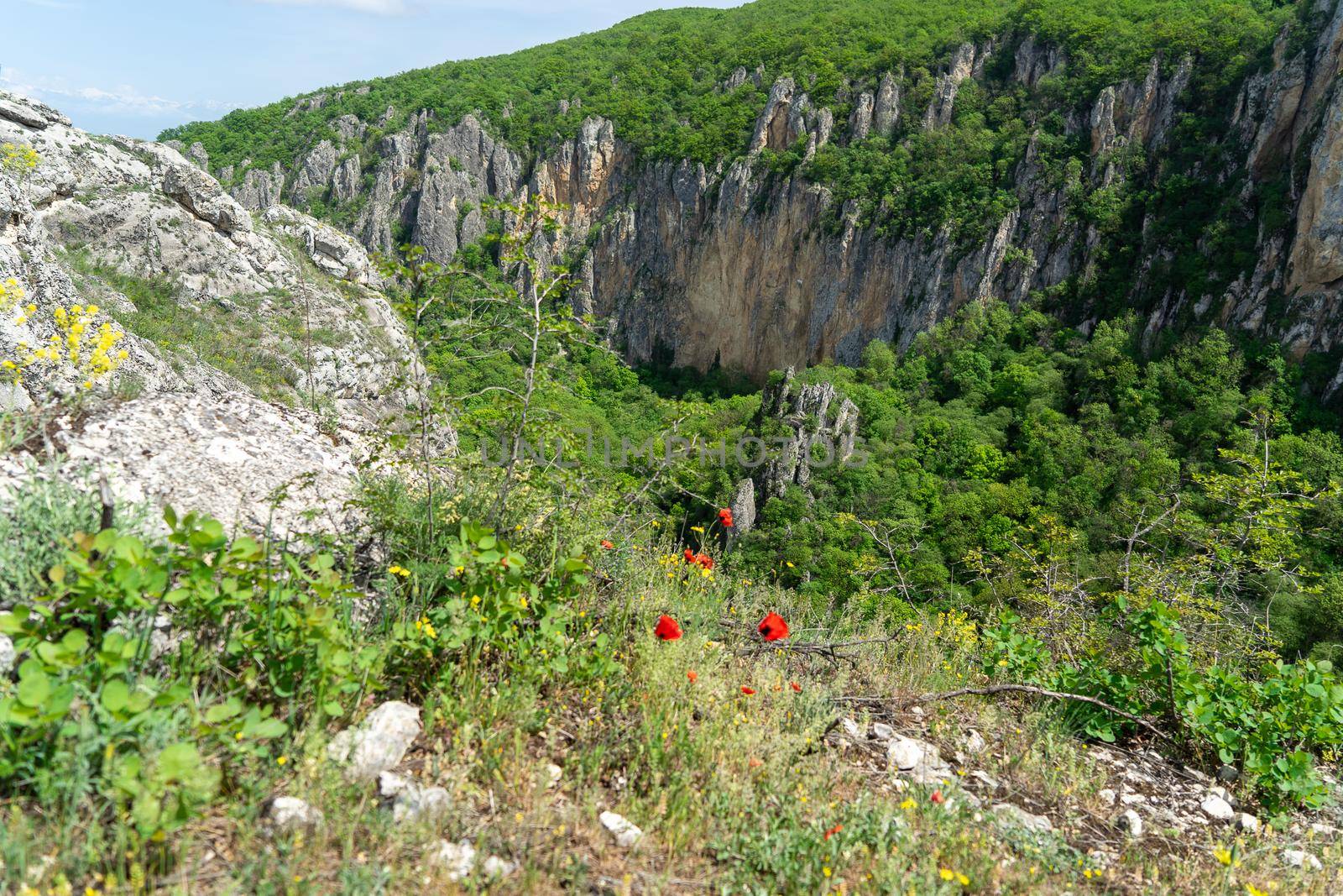 Hiking in Kahetia Georgia region by javax