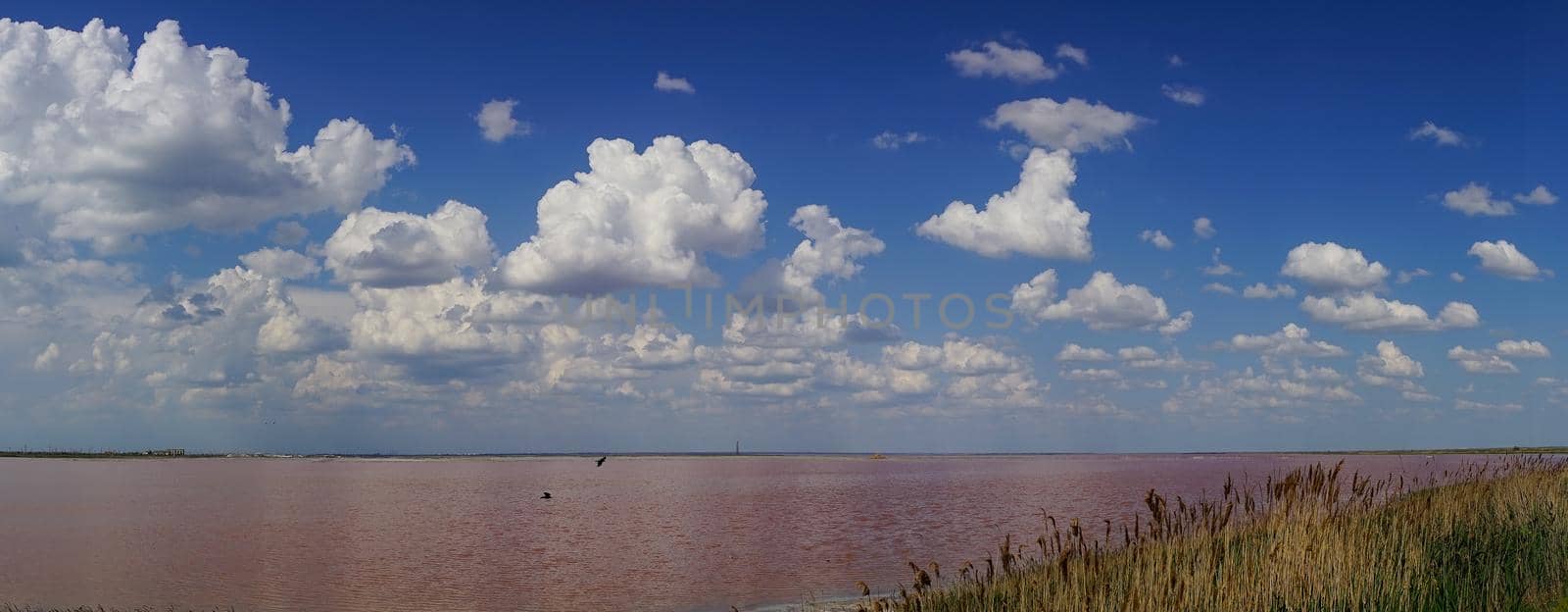 Natural landscape with pink salt lake. Evpatoria, Crimea