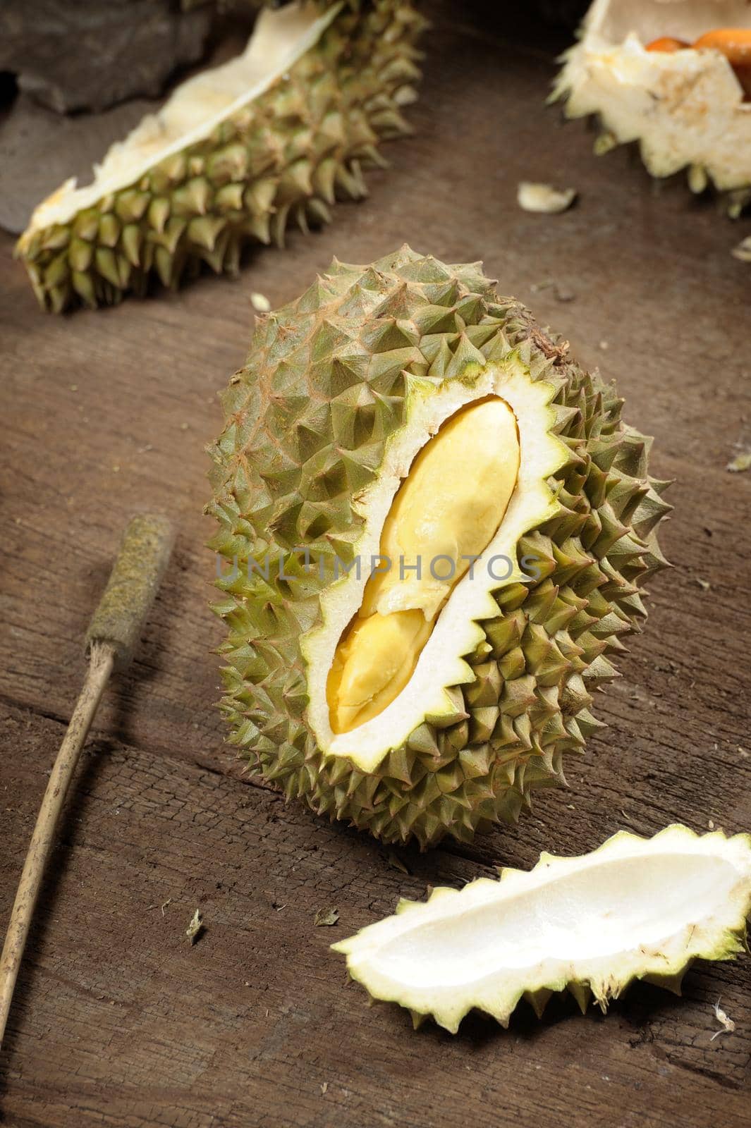 durian by norgal