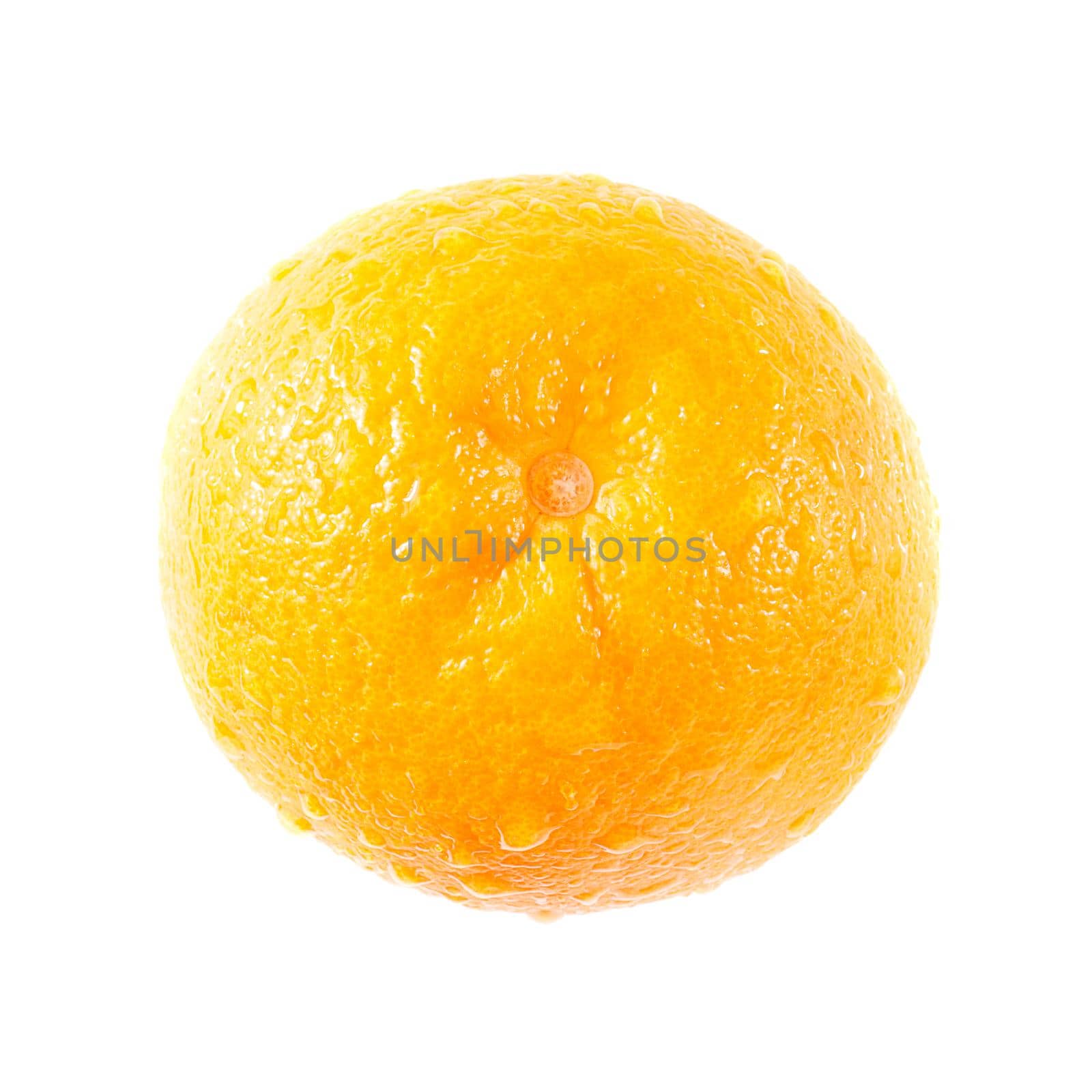 ripe orange by norgal