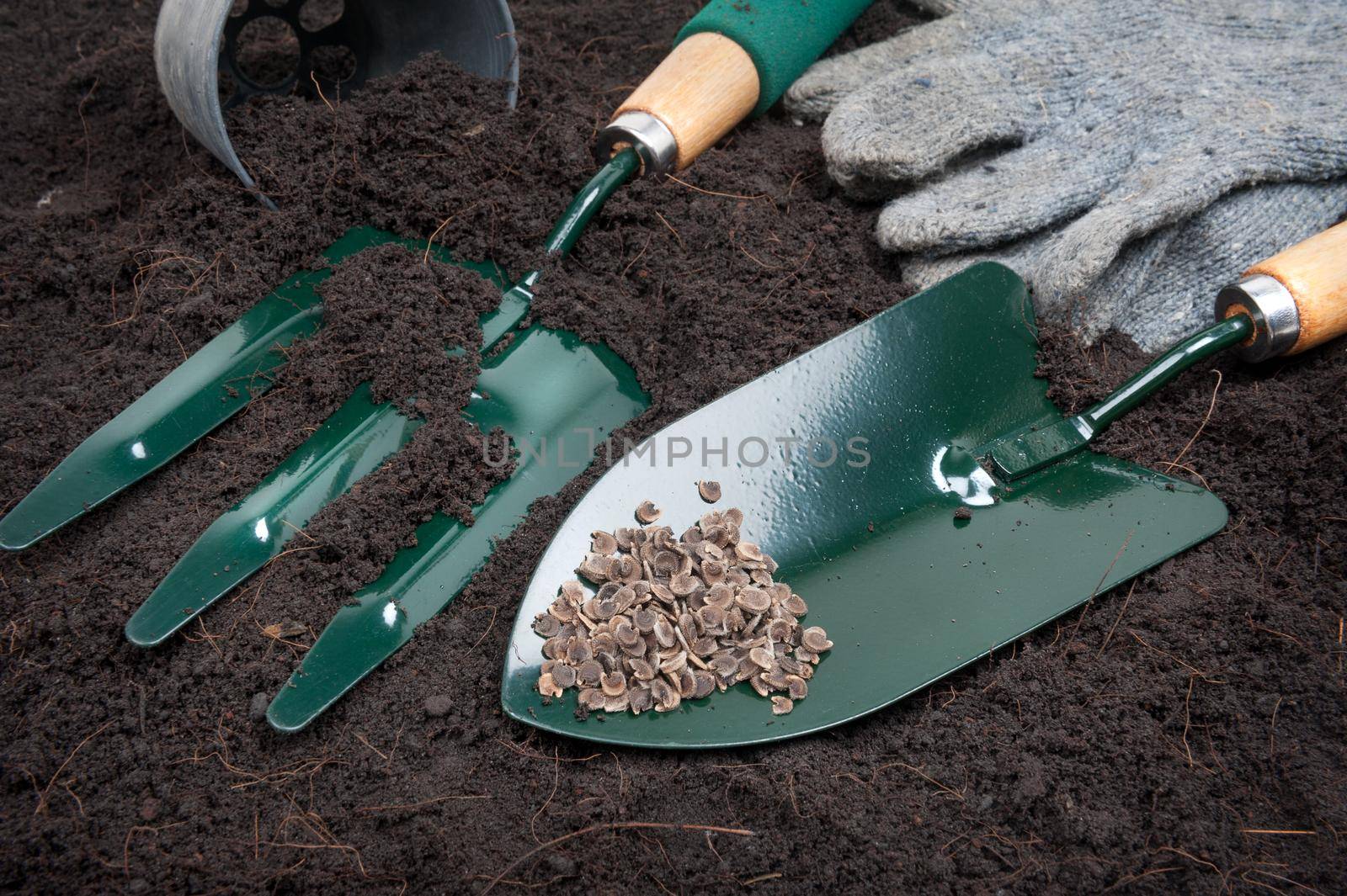 gardening tools on black soil