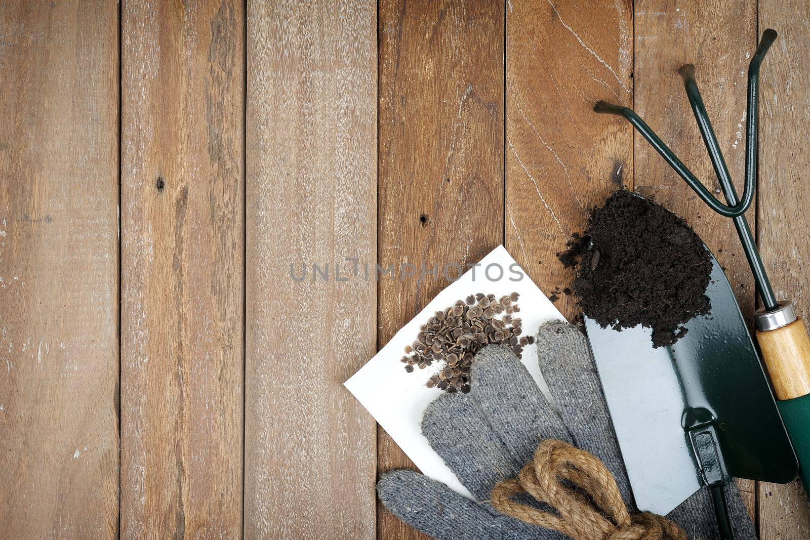 gardening tools on wooden plank background