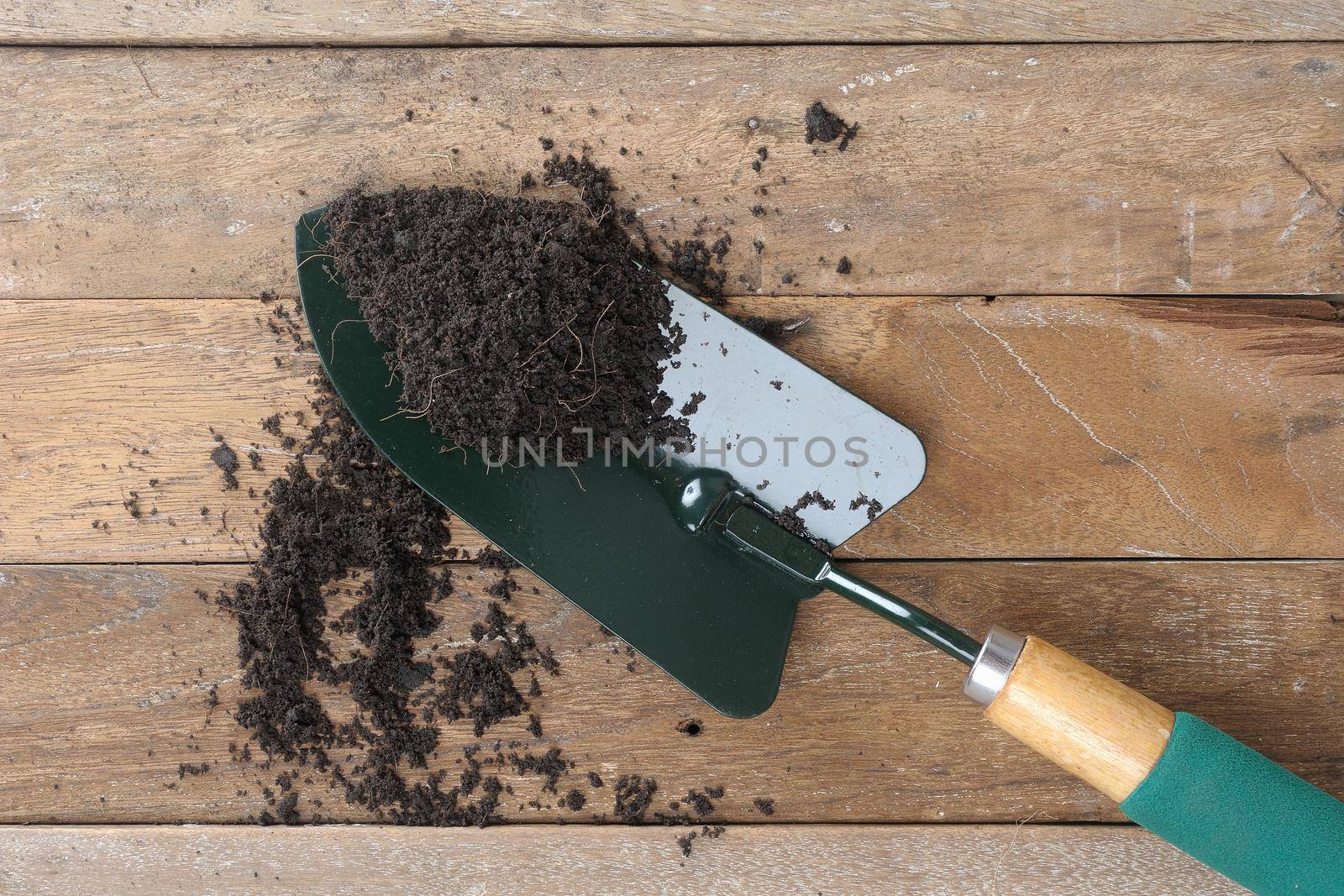 gardening tools on wooden plank