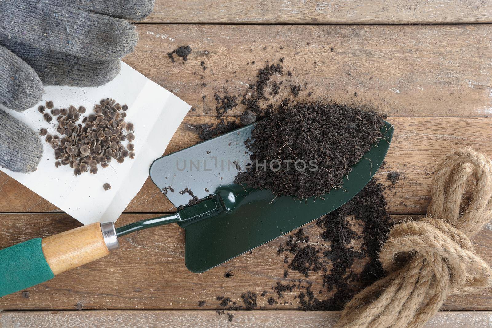 gardening tools on wooden plank