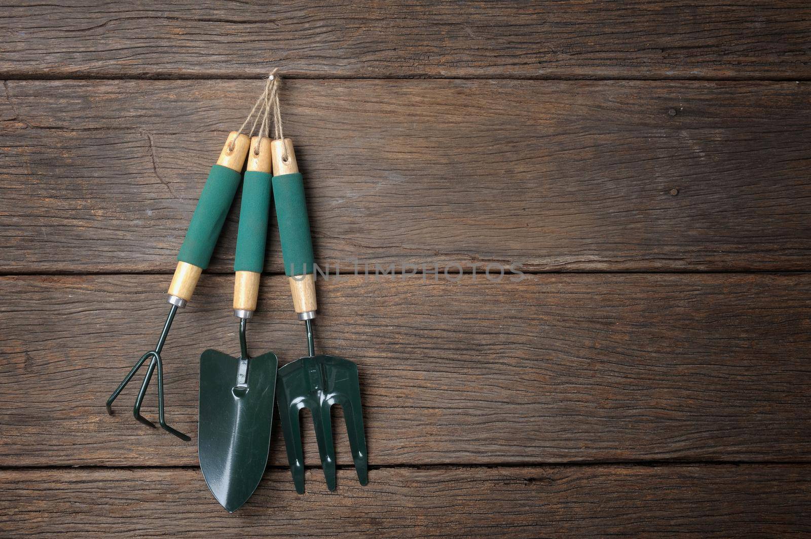 gardening tools hanging on wooden plank background