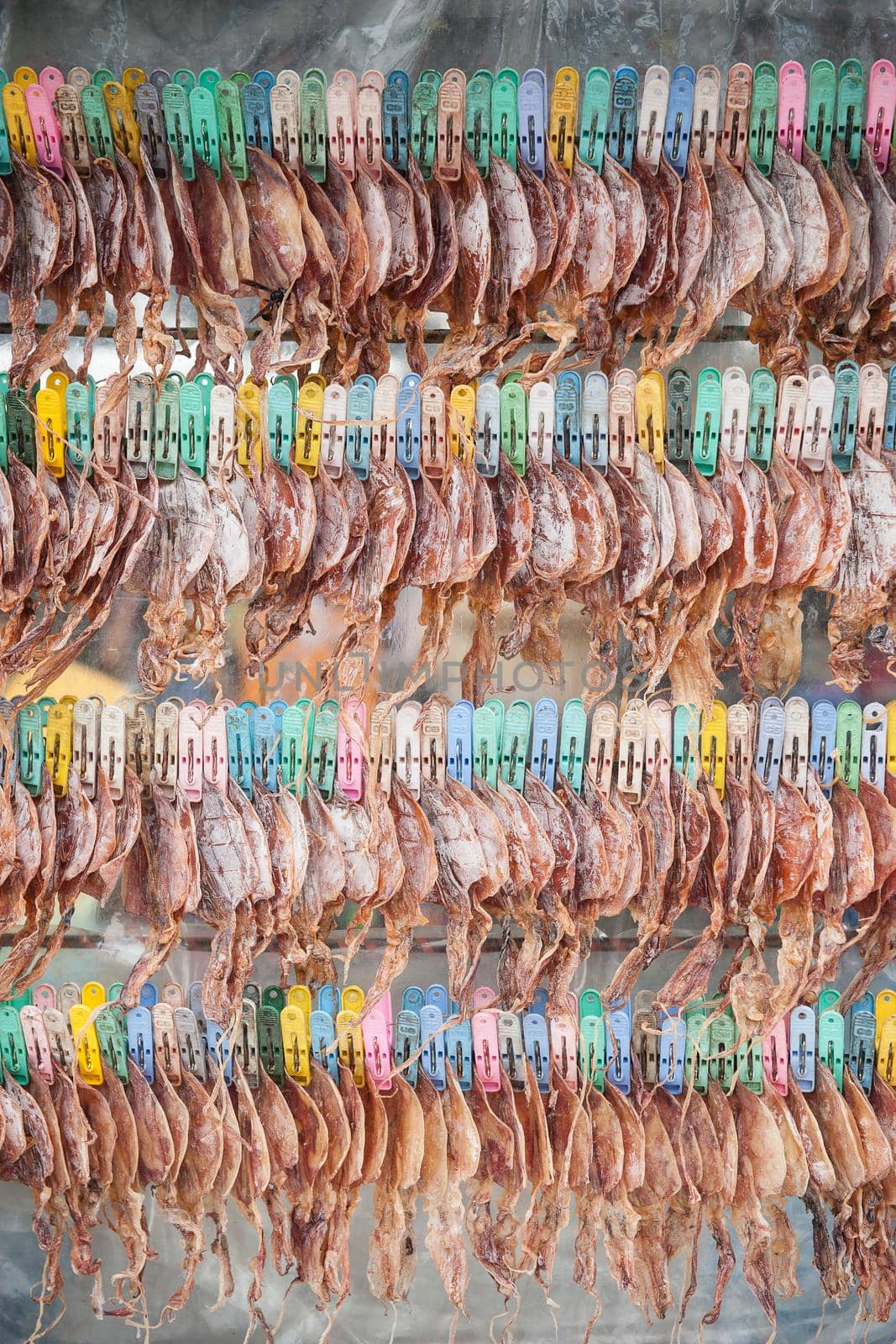 Row of appetizing dry squids for sale in Thailand market