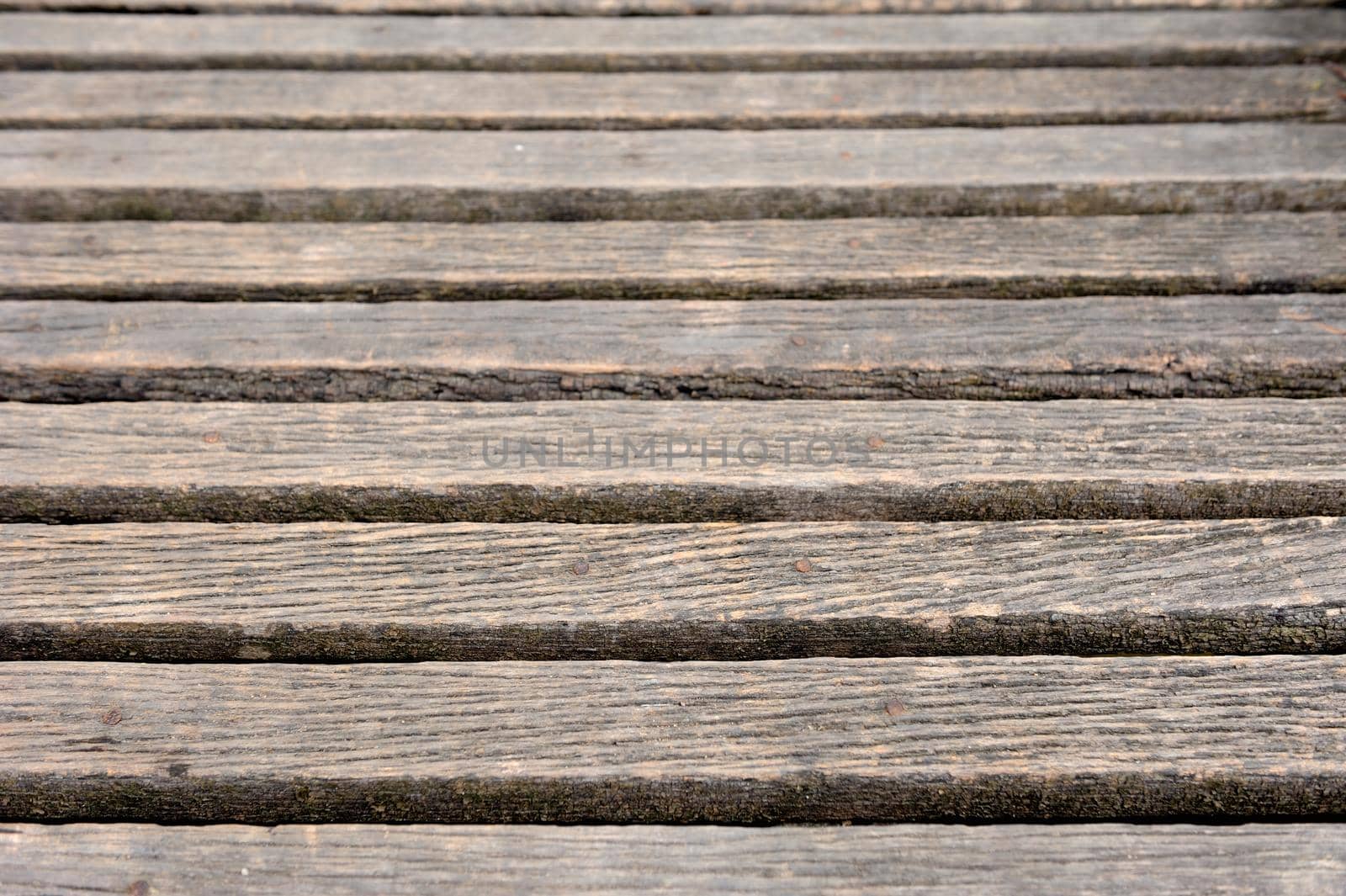 abstract ancient wooden texture used as background