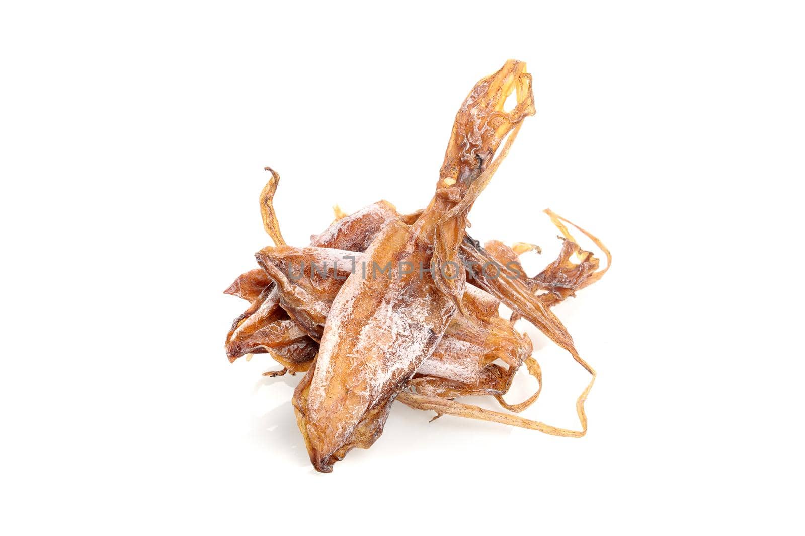 isolate dry squids on white background