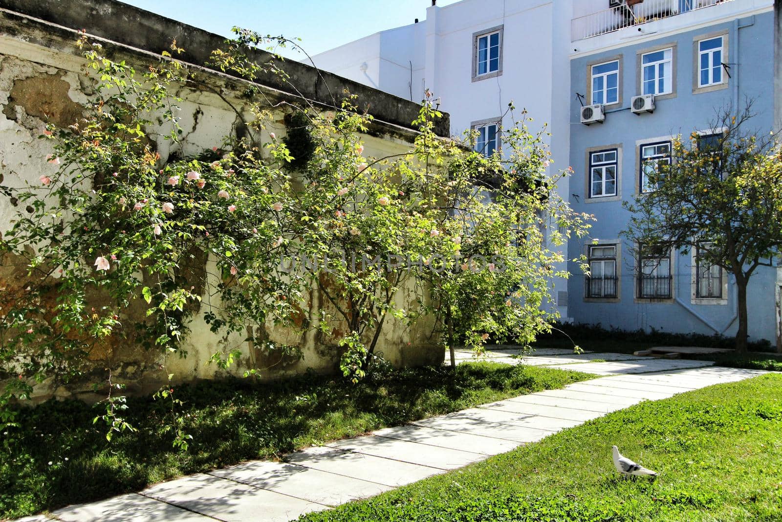 Colorful gardens and tiled facades with vintage streetlight in Lisbon streets in Spring. 
