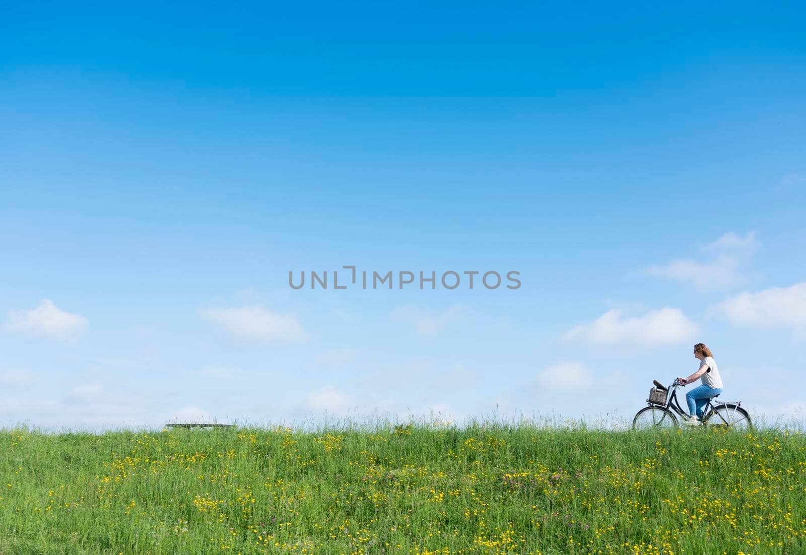 Nijkerk, netherlands, 13 may 2021: woman rides bicycle on grassy dike with flowers under blue sky in spring