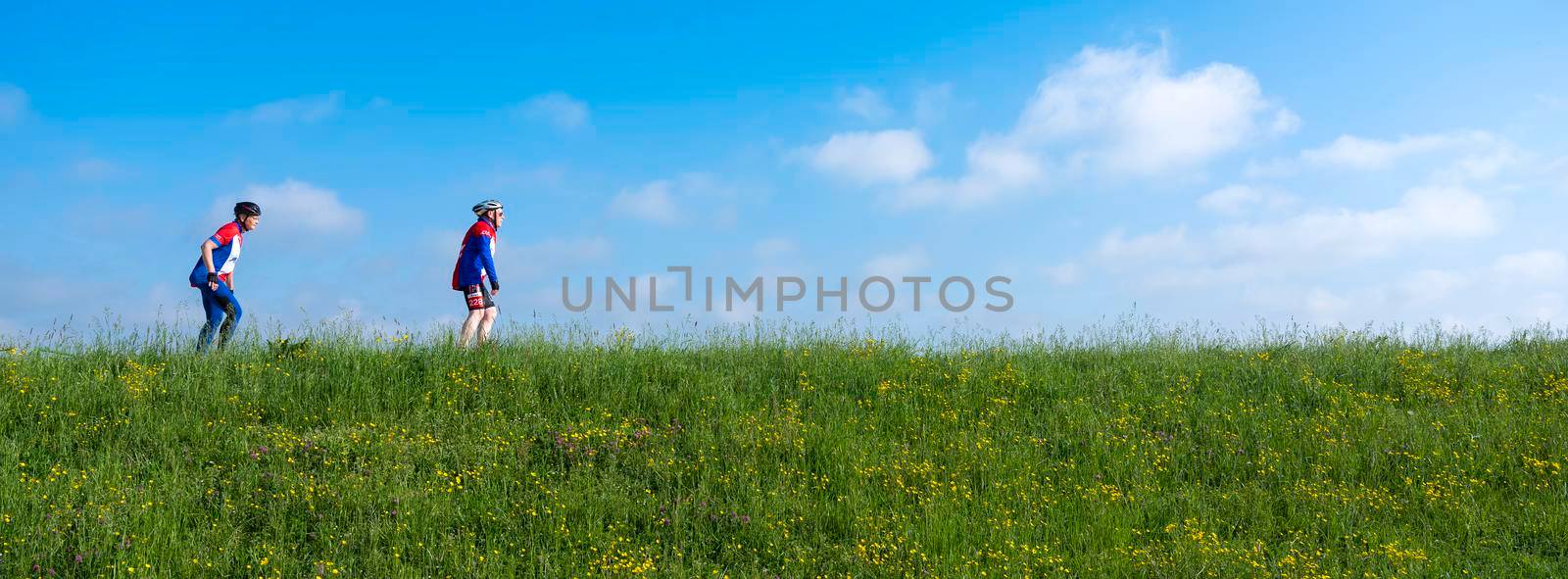 people on inline roller skates on grassy dike with flowers in holland by ahavelaar