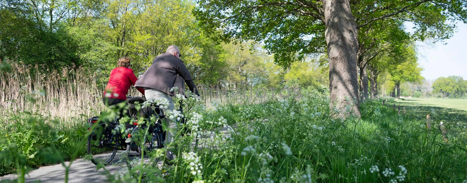people ride bicycle on track near wild flowers in dutch spring near utrecht by ahavelaar