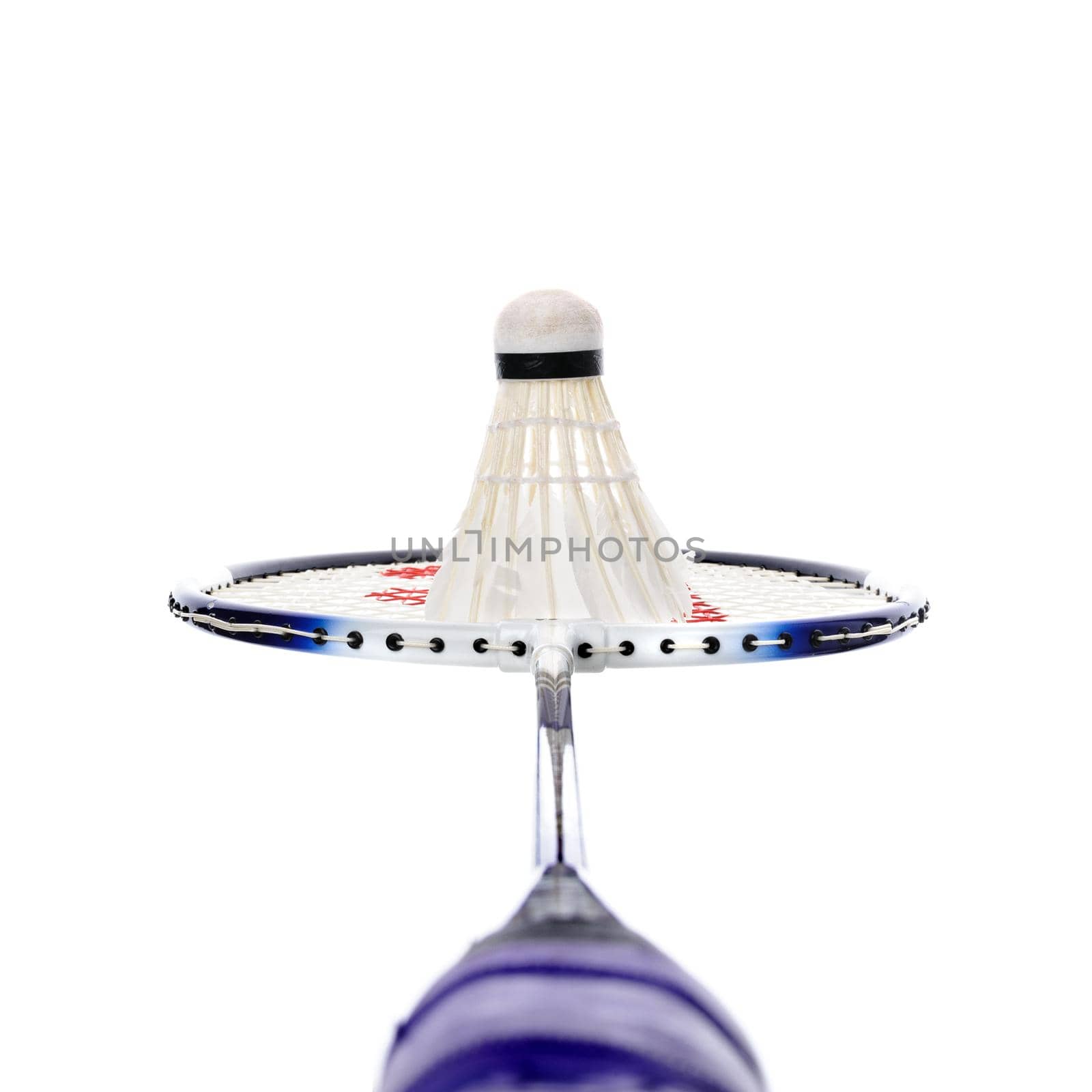 closeup shuttlecock isolated on badminton racket