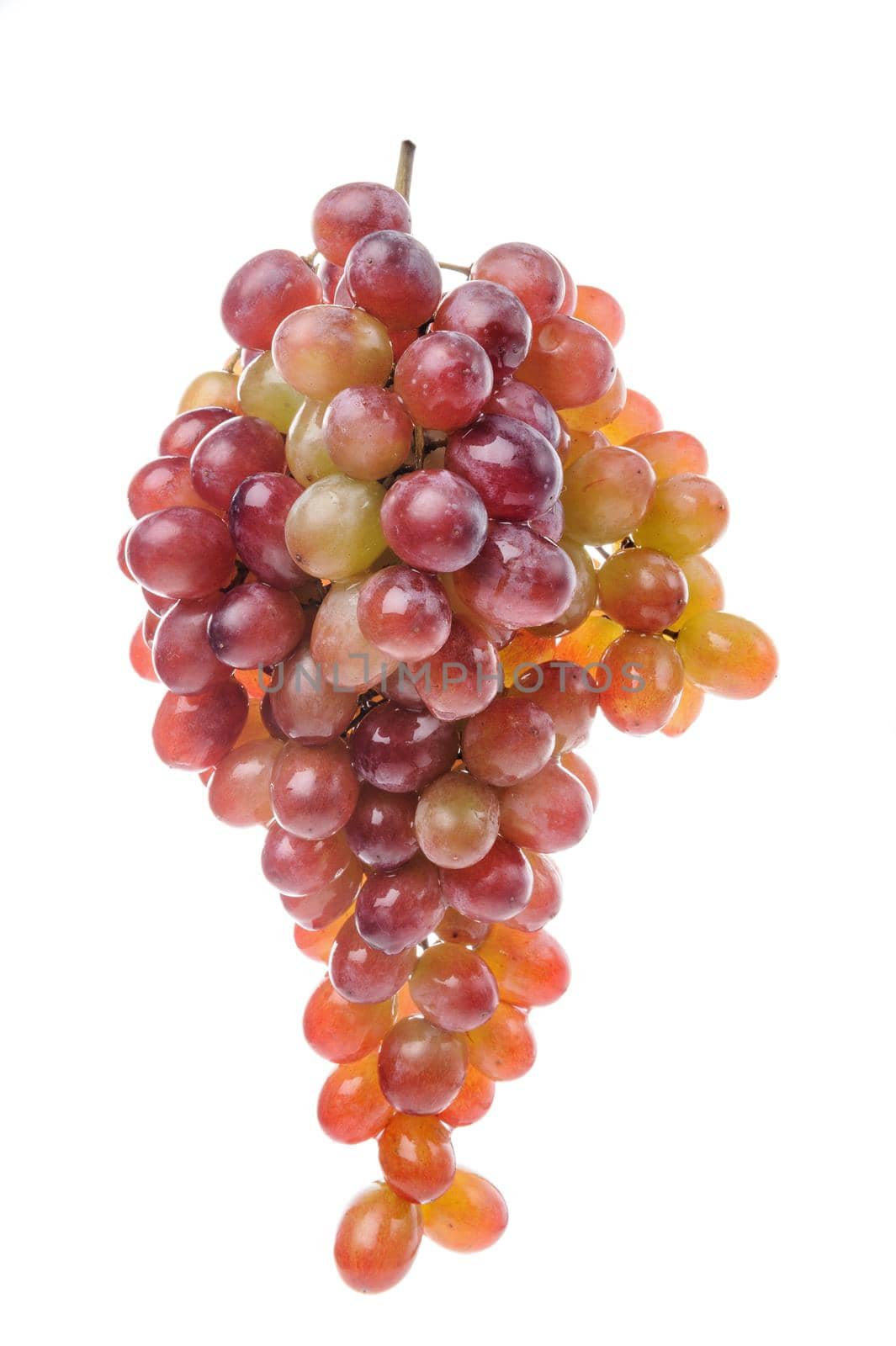red grapes by norgal