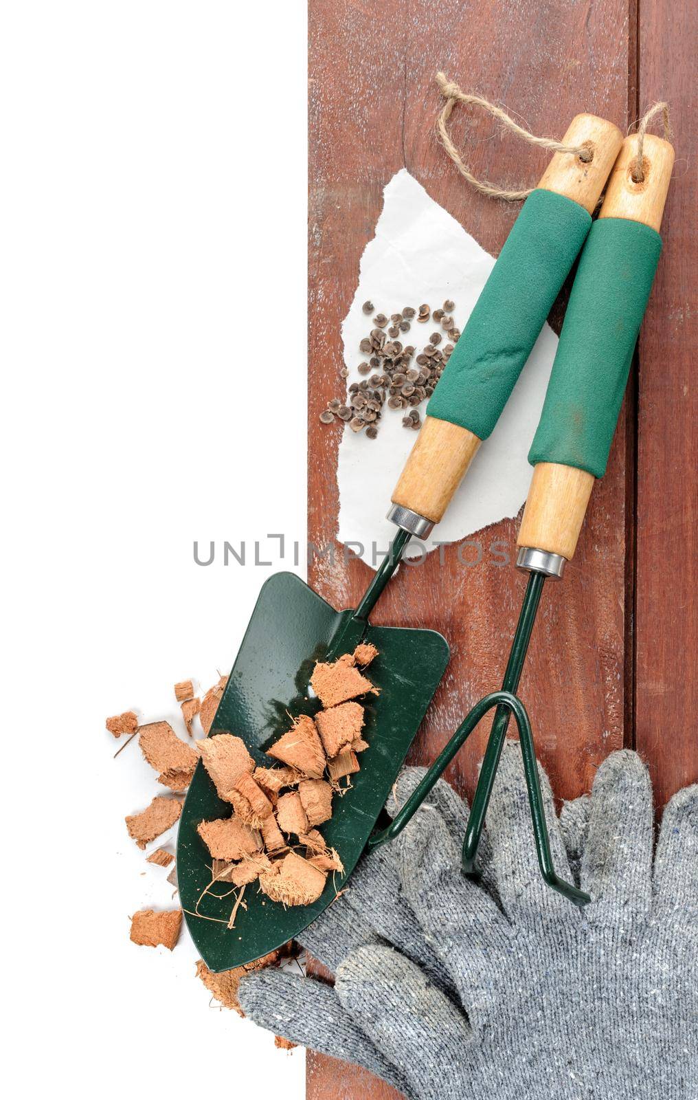 gardening tools on wooden plank background