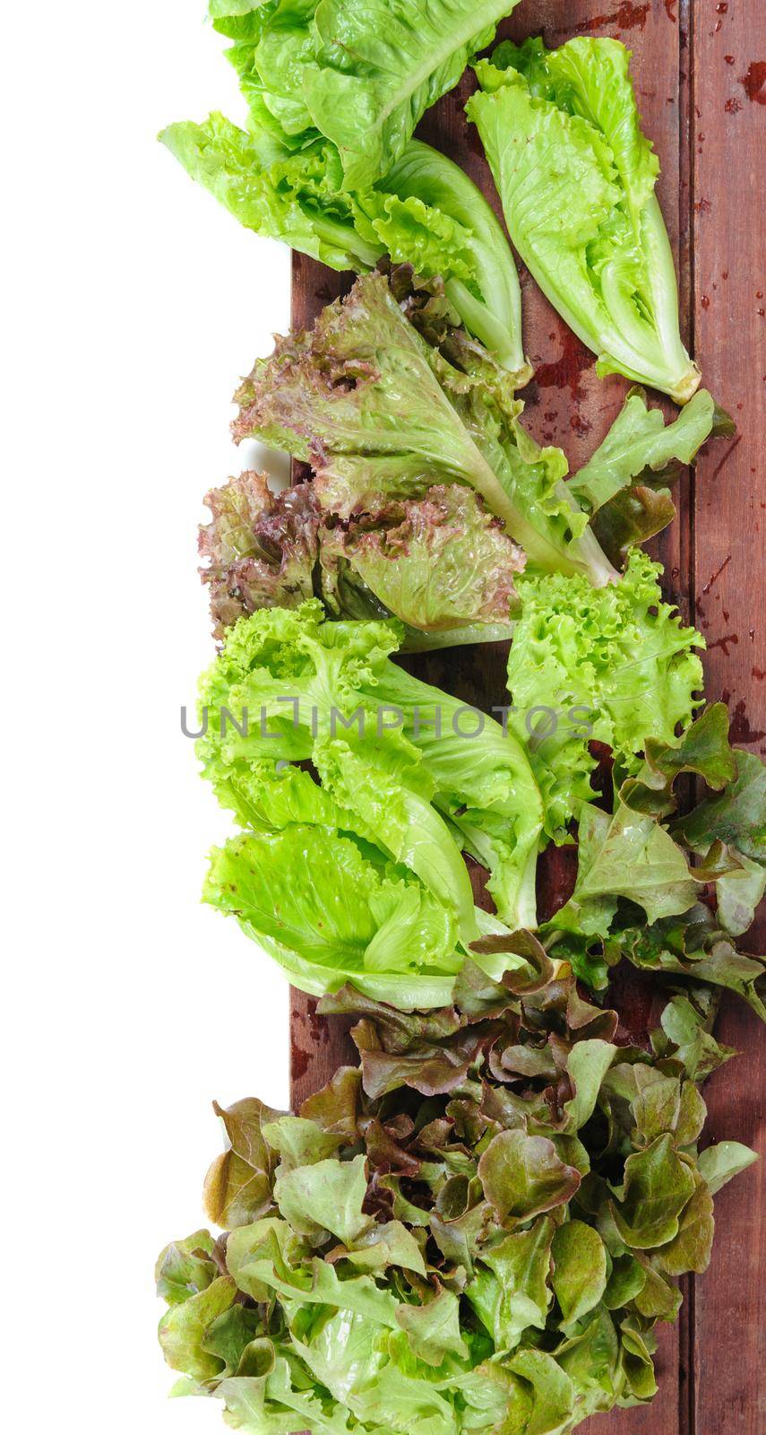 closeup isolate fresh lettuces on wooden plank
