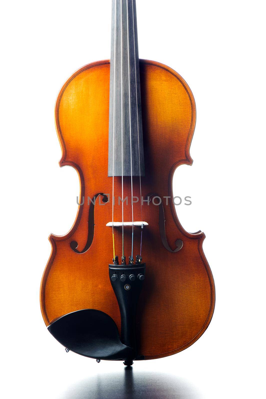 details of classic violin by norgal