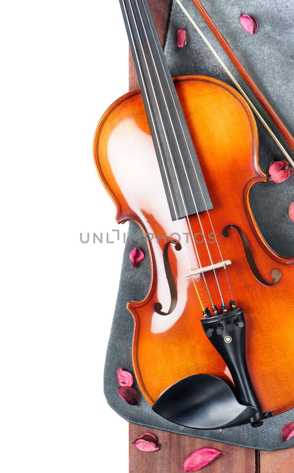 details of classic violin by norgal