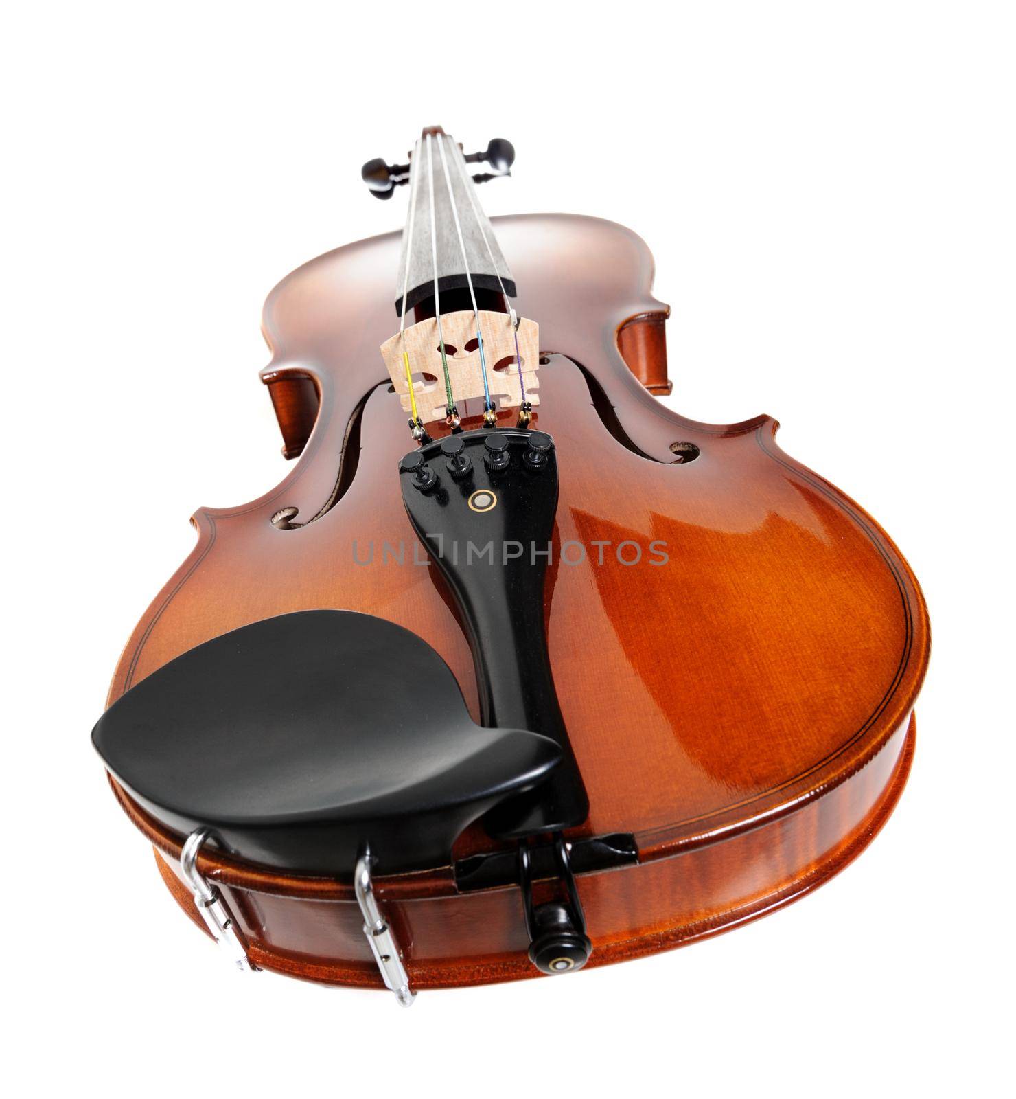 closeup new classical violin on white background