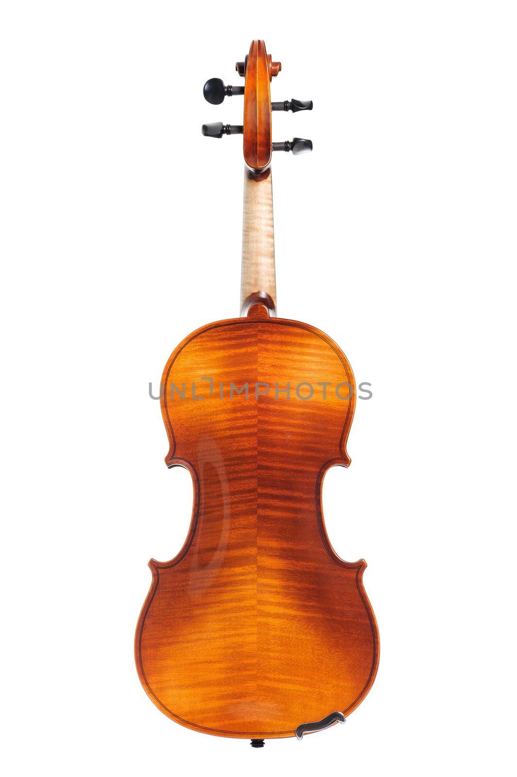 back of new classical violin on white background