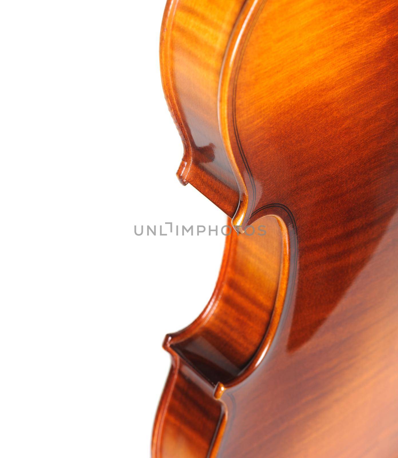 back of new classical violin on white background