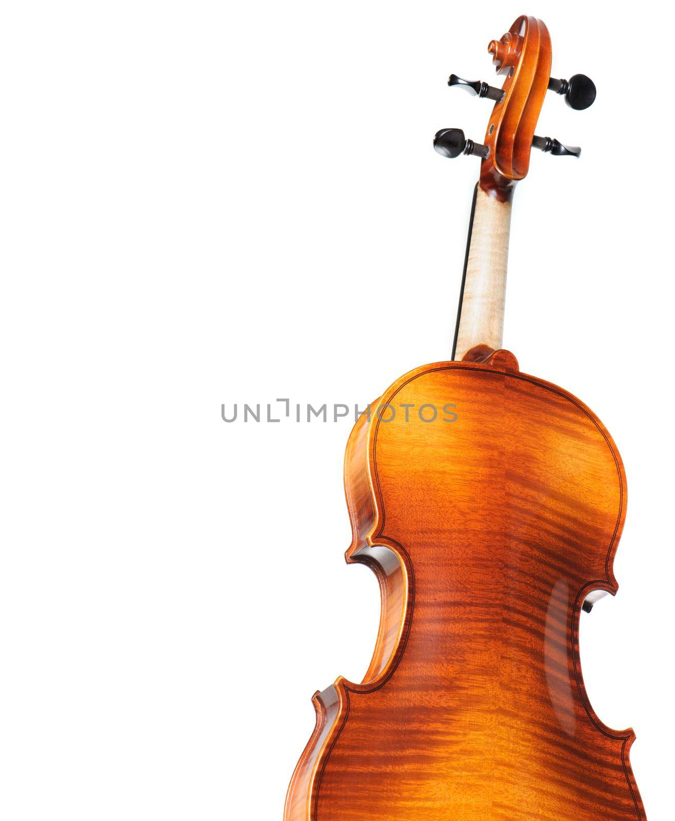 back of new classical violin on white background