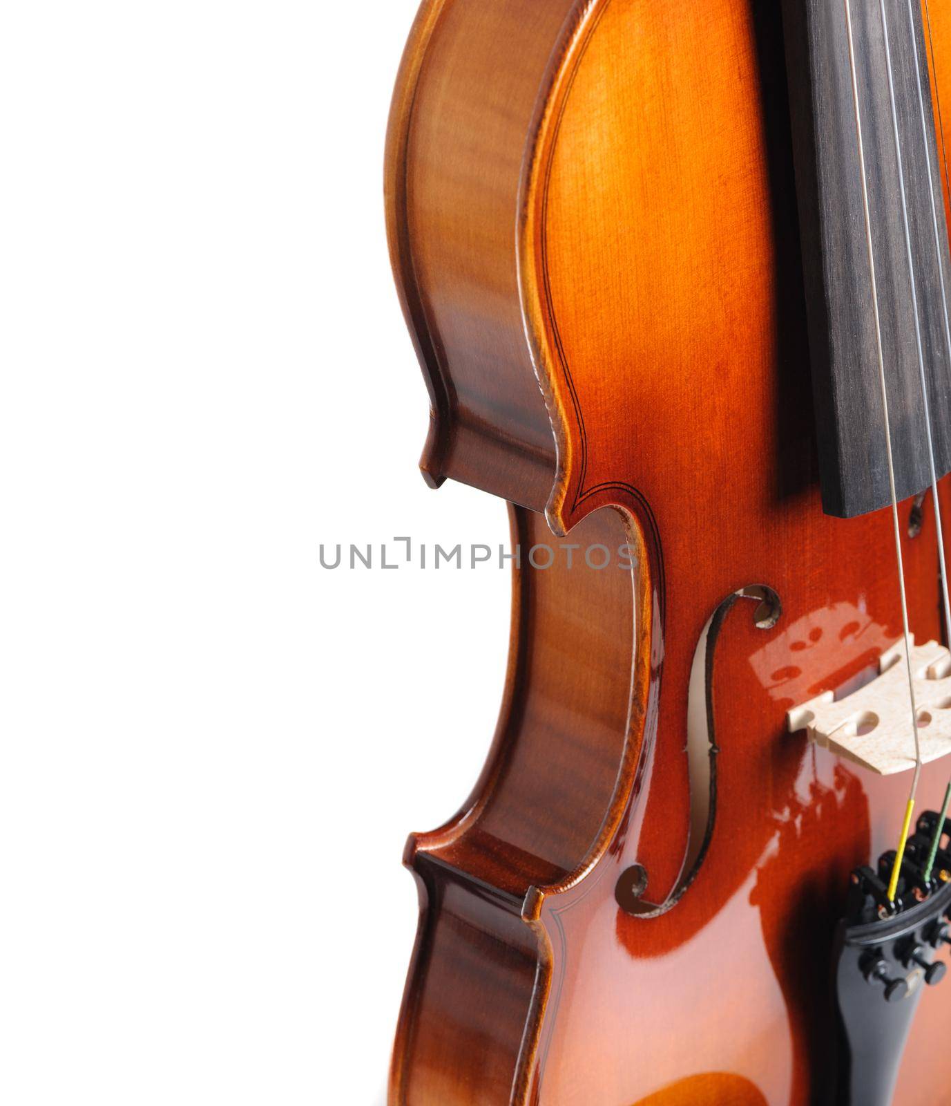 new classical violin on white background template